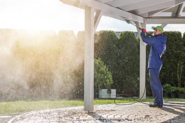 Best Graffiti Removal  in Sterling, IL
