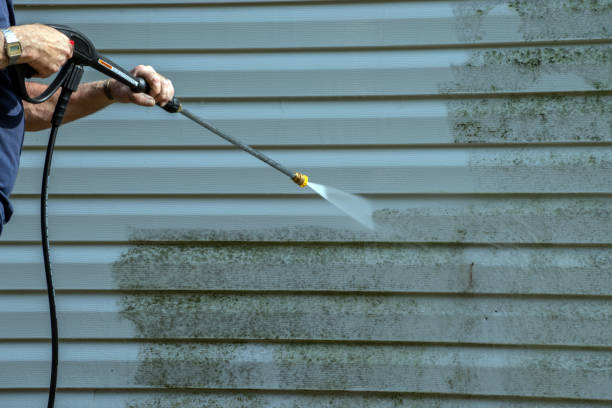 Best Sidewalk and Walkway Cleaning  in Sterling, IL