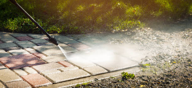 Best Fence Cleaning  in Sterling, IL